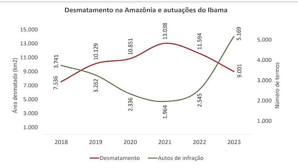 grafico.jpeg