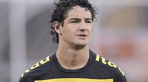 pato-300x168.gif