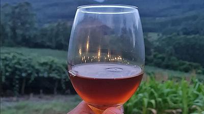 vinho.jpeg