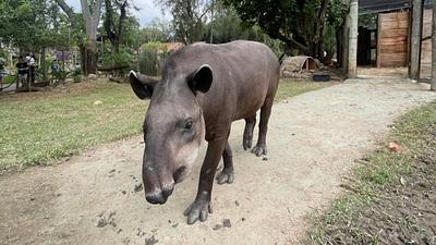 antabioparque.jpg