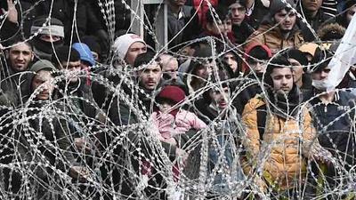 migratorio.jpg
