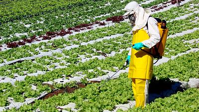 agrotoxico.jpg