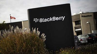 blackberry.jpg