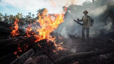 amazonia-1.jpg