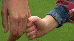 adocao-300x168.gif