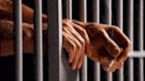 presos1-300x168.gif