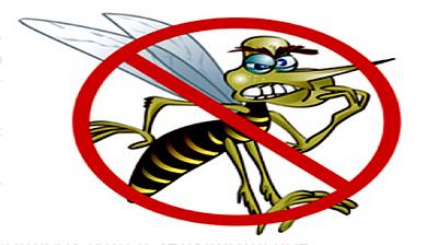 contra_dengue.jpg