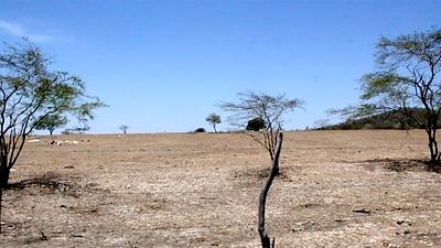 deserto-alagoas.jpg