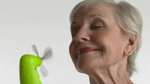 menopausa-2-300x168.gif