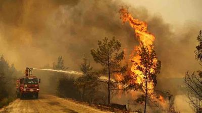 incenidos.jpg