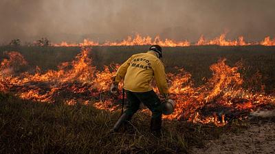 incendiosbrasil.jpg