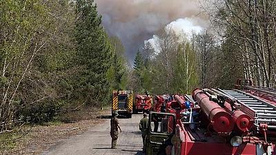 incendioflorestal.jpg