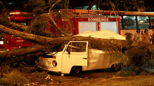 arvorekombi620_-300x168.gif