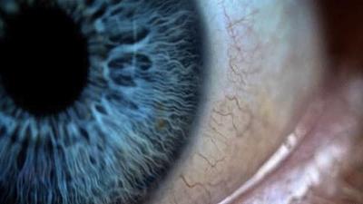 olhos.jpg