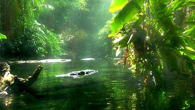amazonia.jpg