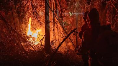 incendios.jpg