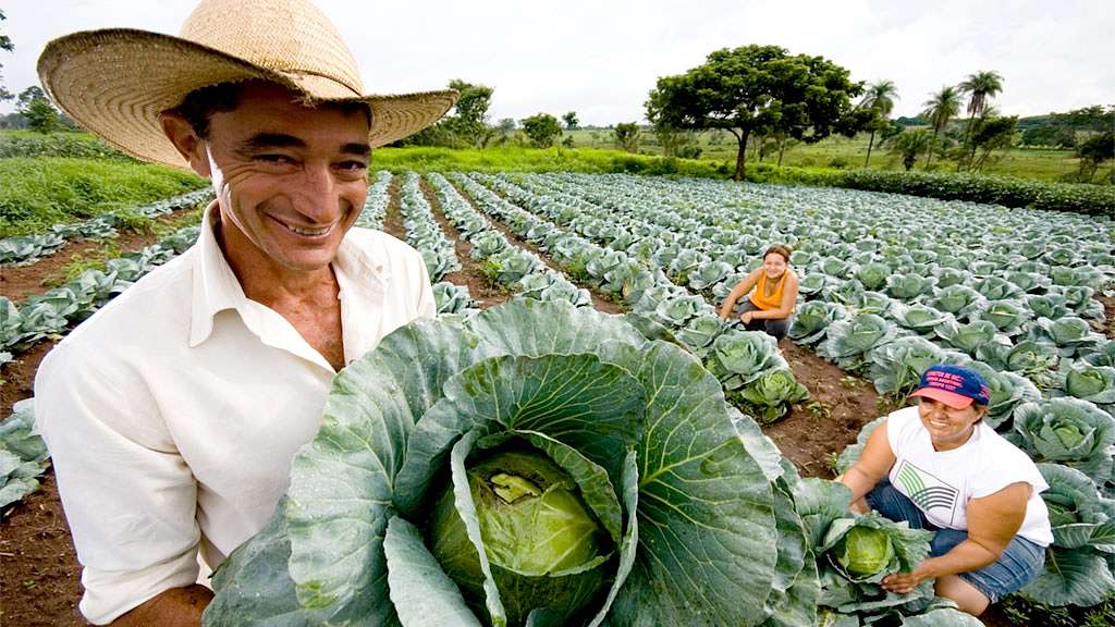 agricultura-familiar.jpg