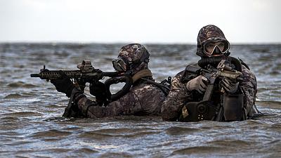 seals-eua.jpg