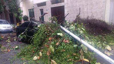 chuva-2.jpg