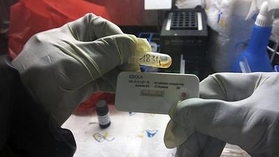 ebolasaude.jpg