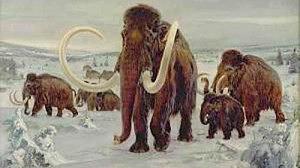 mamute-300x168.jpg