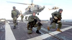 seals1-300x168.jpg