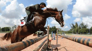 hipismo_05-300x168.gif