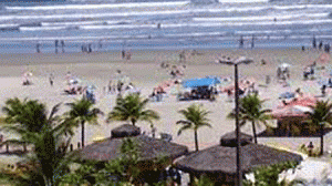 quiosque-barra-300x168.gif