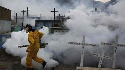 zika-2.jpg