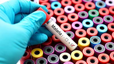 malaria.jpg