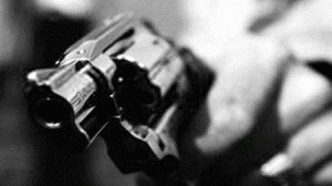 arma2-300x168.gif