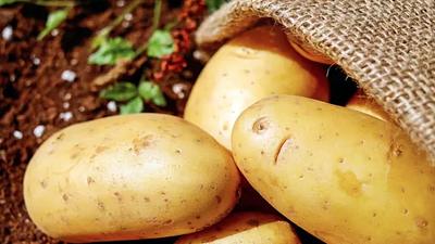 batata.jpg