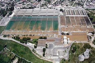 f_273196.jpg