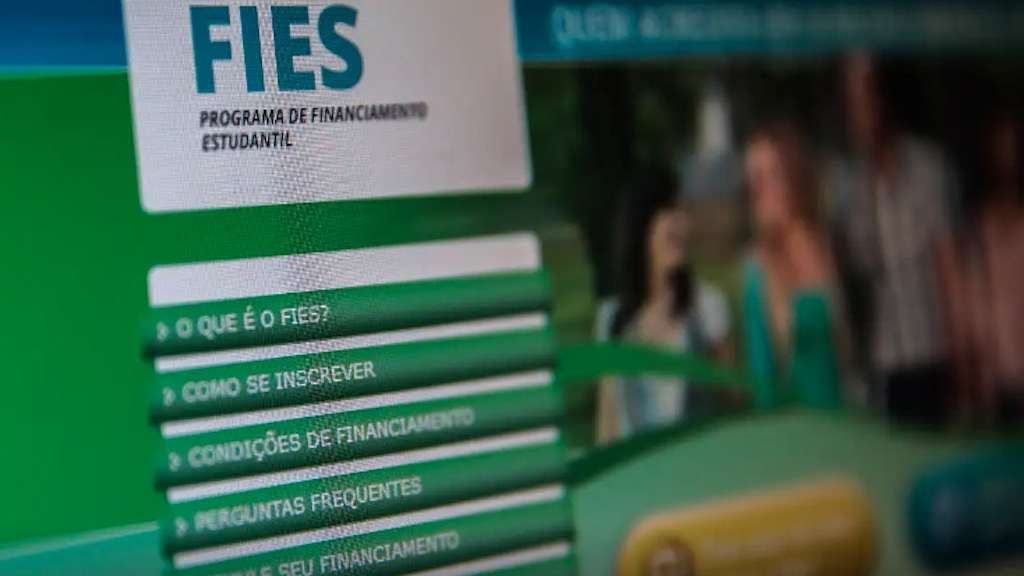 fies.jpg