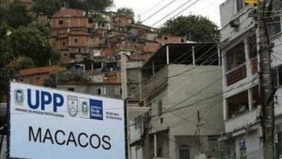 macacos.jpg