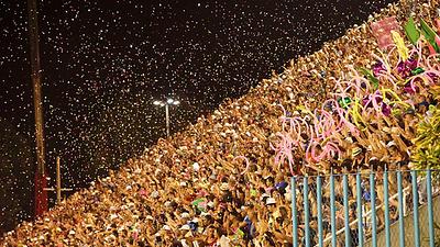 Mangueira-ABr.jpg