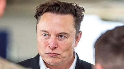 musk-3.jpg