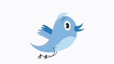 tweeter.jpg