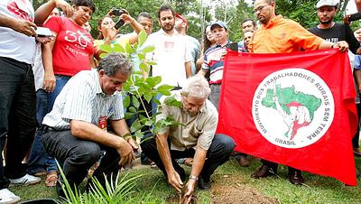 lula-arvore.jpg