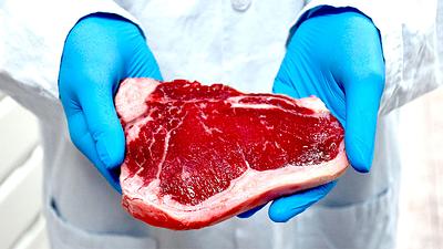 carne-lab.jpg