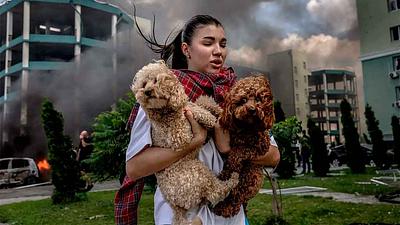 kiev-dogs.jpg