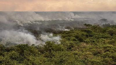 incendios.jpeg