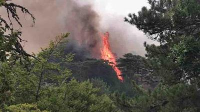 incendios.jpg