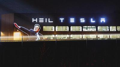 musk-3.jpg