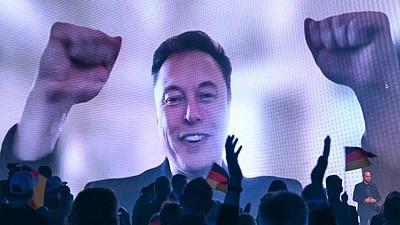 musk-1.jpg