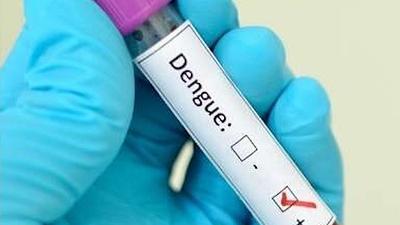 dengue.jpeg