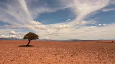 elnino.jpg
