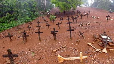 fordlandia.jpg