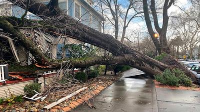 tempestadecalifornia.jpg