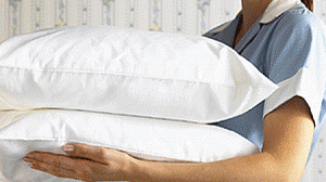 empregada_domestica-300x168.gif